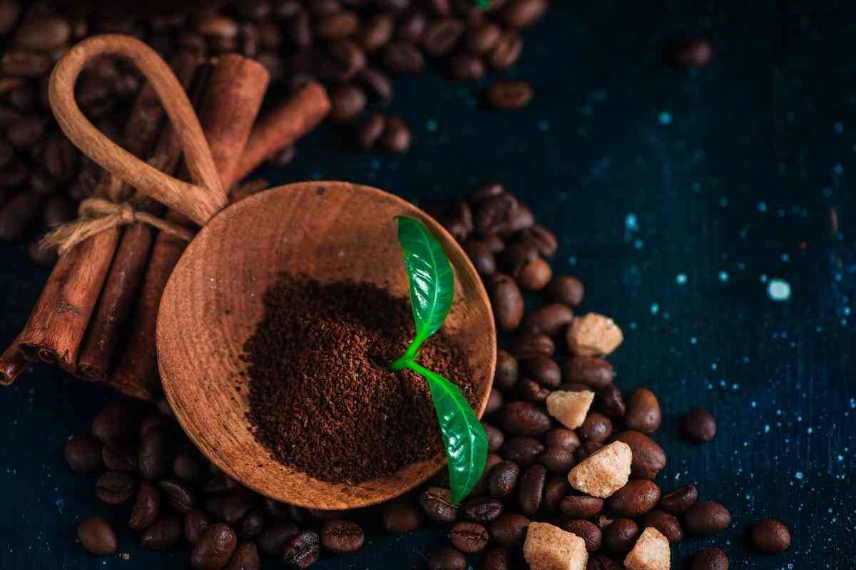 Are Coffee Grounds Good For Peace Lilies