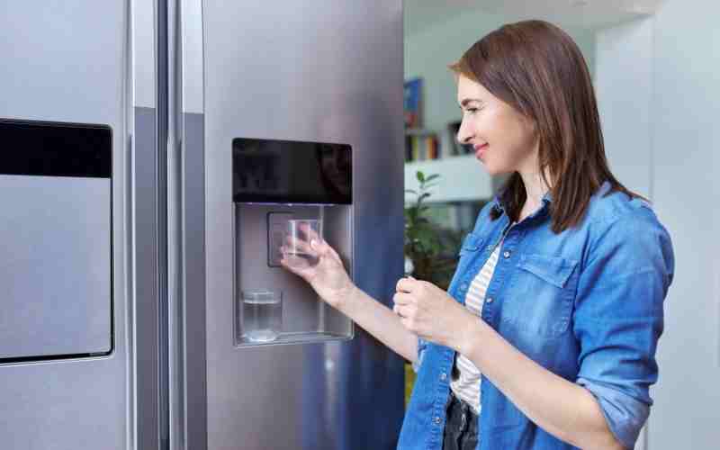 Can Water Filter Cause Ice Maker not to Work