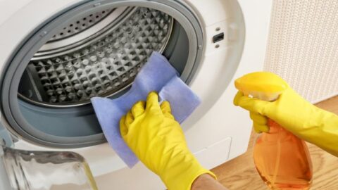 Affresh Vs. Tide Washing Machine Cleaner (Must Read)