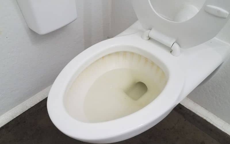 Orange Stain On Toilet Seat (Reasons & Solutions)