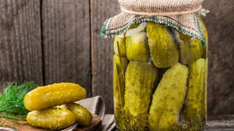 Can You Use Mrs. Wages Dill Pickle Mix For Refrigerator Pickles?