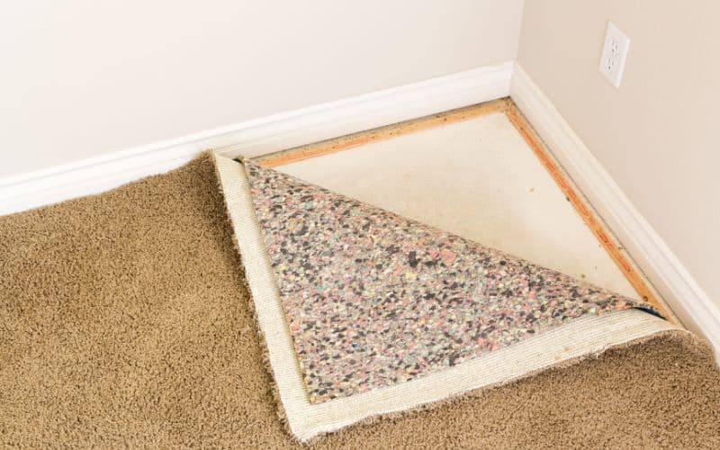 6-lb-carpet-pad-vs-8-lb-carpet-pad-in-depth-comparison-2023