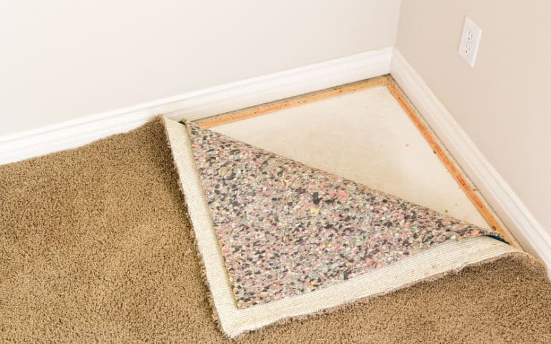 6 Lb Carpet Pad Vs 8 Lb Carpet Pad In Depth Comparison 2024