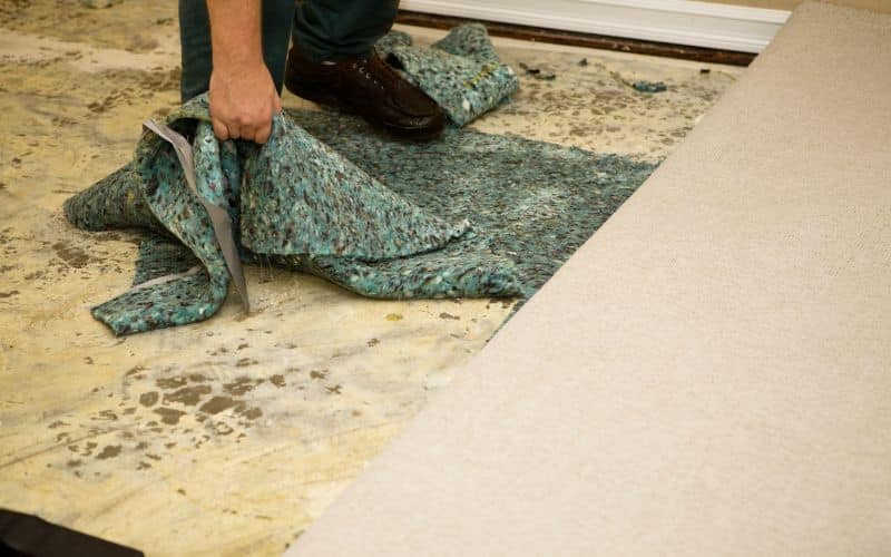 Black Stuff Under Carpet Pad