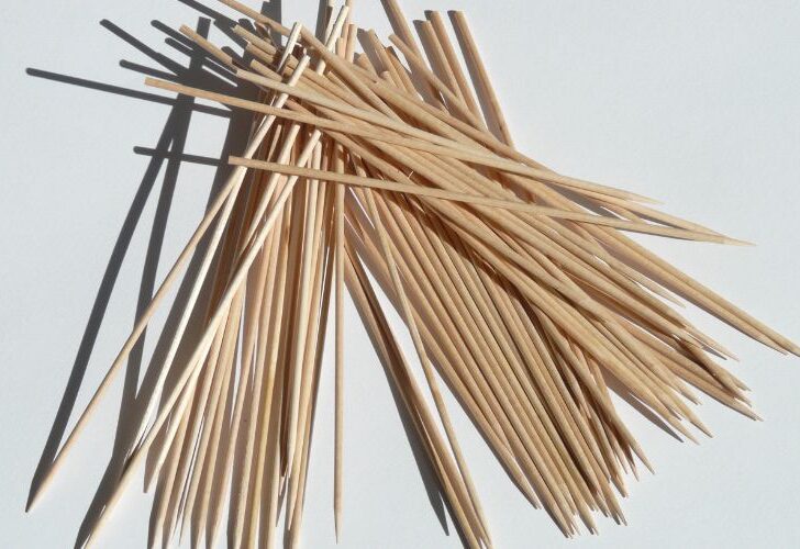 Can You Put Wooden Skewers In The Oven? (Must Know)