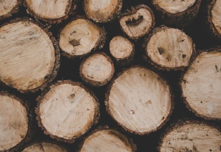 Does Menards Cut Wood