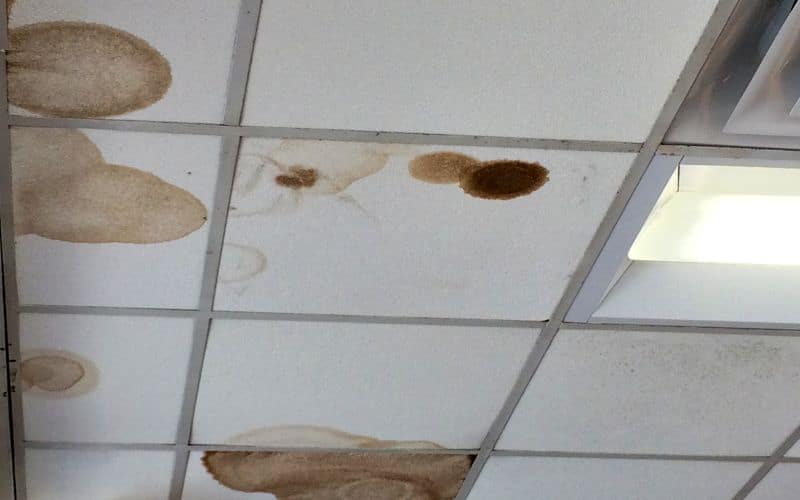 How Long Does It Take for a Water Stain to Appear