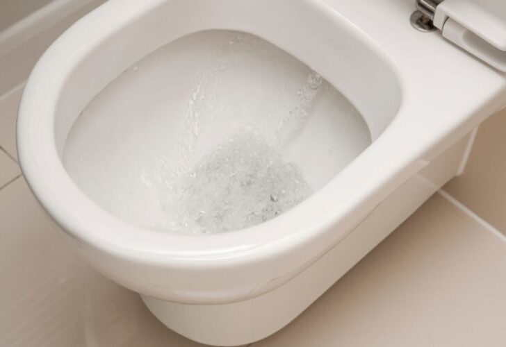 How to Flush Poop That Is Too Big to Flush