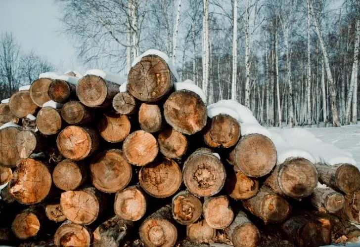 Should You Cover Wood Pile
