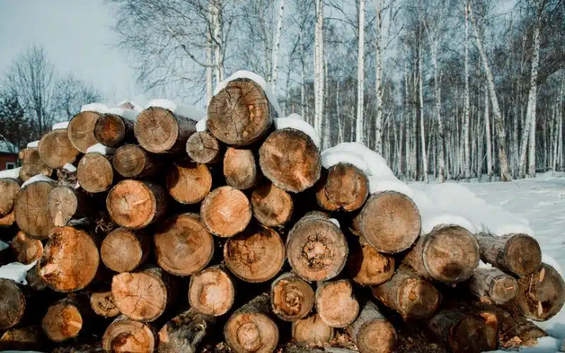 Should You Cover Wood Pile
