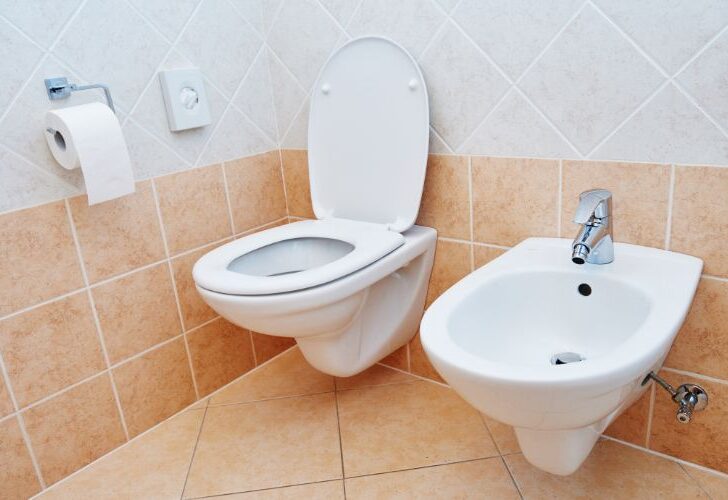 Are Padded Toilet Seats Sanitary Or Unsanitary? (Must Know)