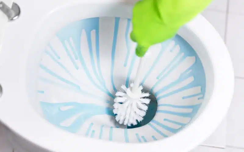 Can Toilet Bowl Cleaner Kill You