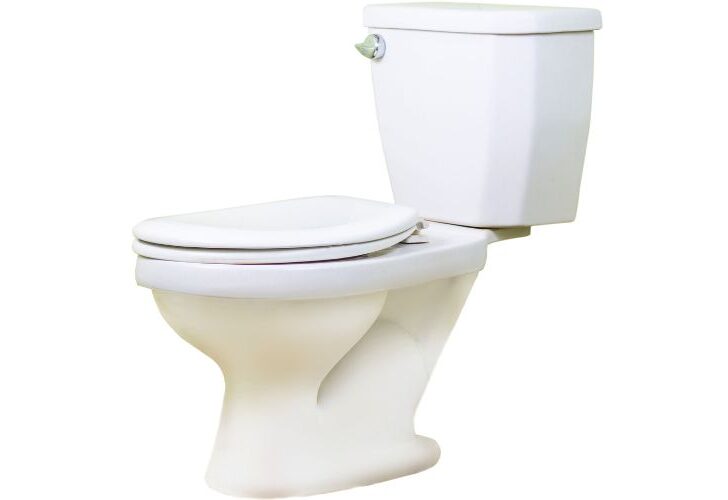 Can Toilet Seat Covers Be Flushed? (Read This First)