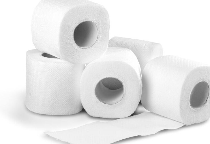 Do Charmin Toilet Paper Clog Septic Tanks? (Must Know It)