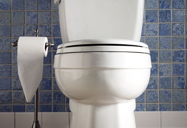 Does Bleach & Vinegar Dissolve Toilet Paper