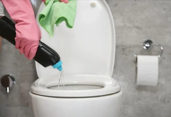 Does Vinegar Damage Toilet Bowls
