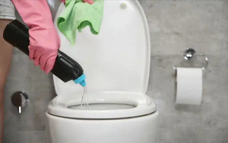 Does Vinegar Damage Toilet Bowls