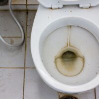 Grey Sediment In Toilet Bowl