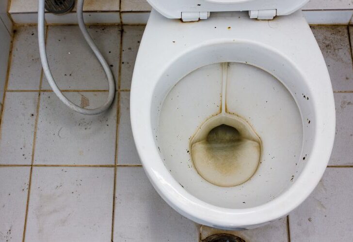 Grey Sediment In Toilet Bowl