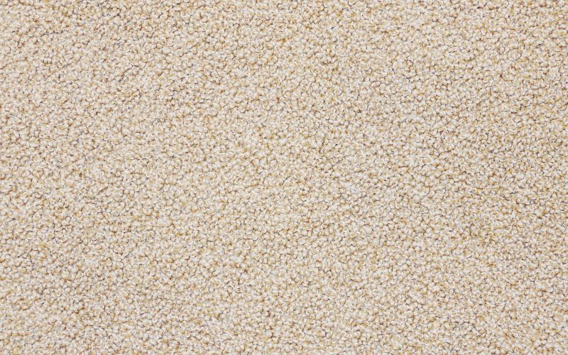 How Much Does It Cost to Dye a Carpet