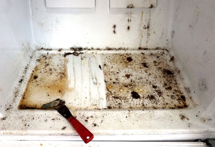 How to Clean a Bug-Infested Refrigerator
