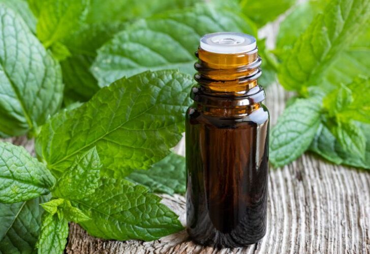 Is Peppermint Oil Safe for Grass