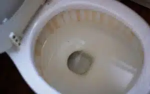 Orange Ring in Toilet Bowl