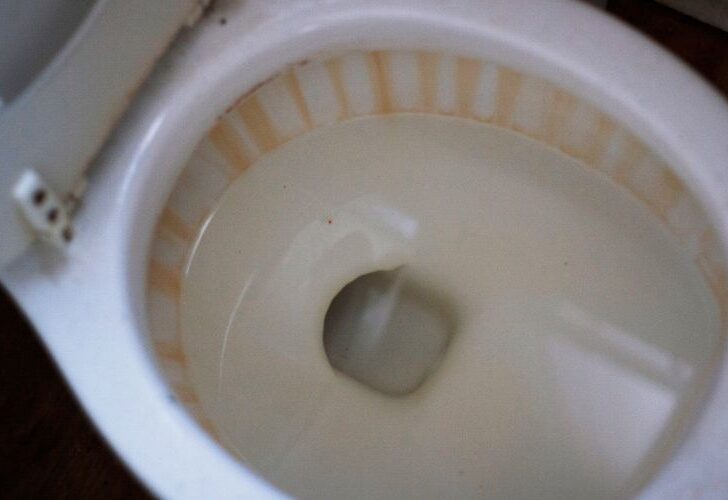 Orange Ring in Toilet Bowl