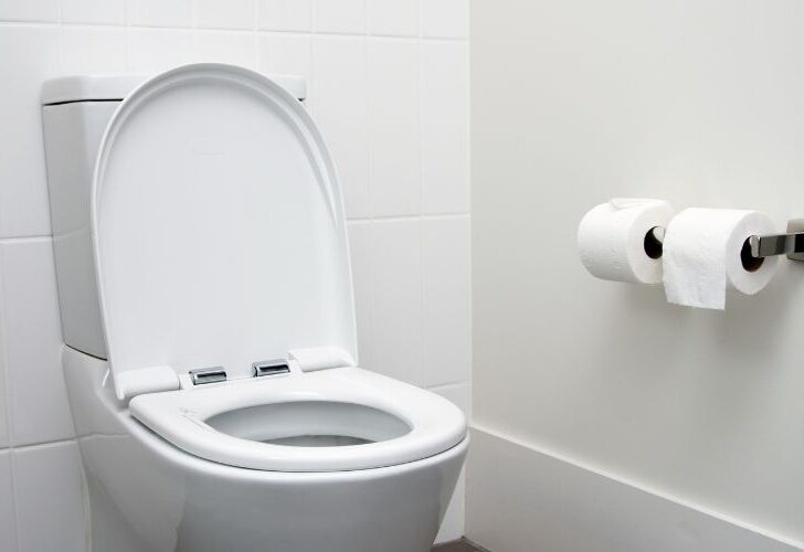 Should Toilets Be Against The Wall? (Expert Answeres)