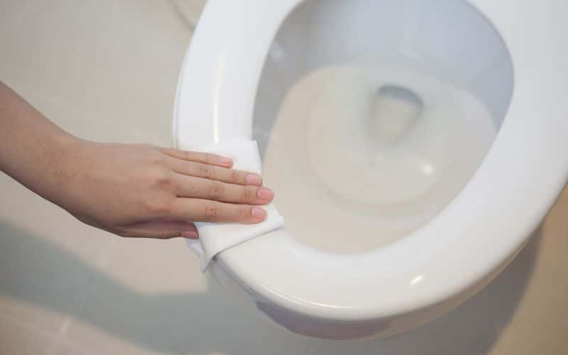 Why is My Toilet Seat Turning Blue