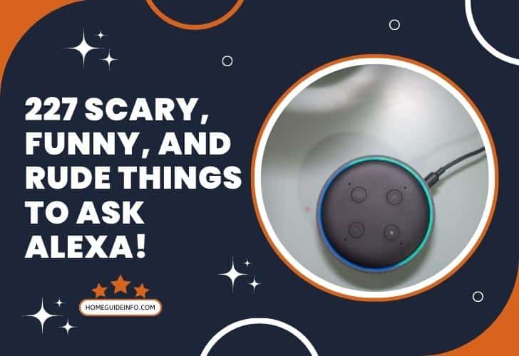 227 Scary, Funny, And Rude Things To Ask Alexa