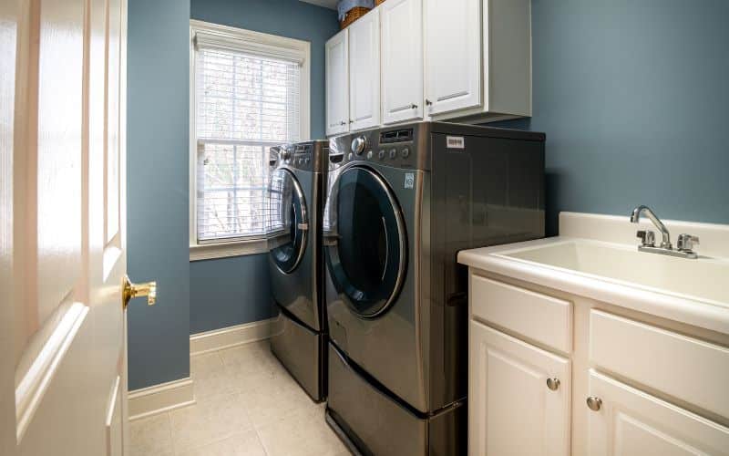 Will Washing Machine Kill Maggots, Fleas, Ticks, Mold, Roaches