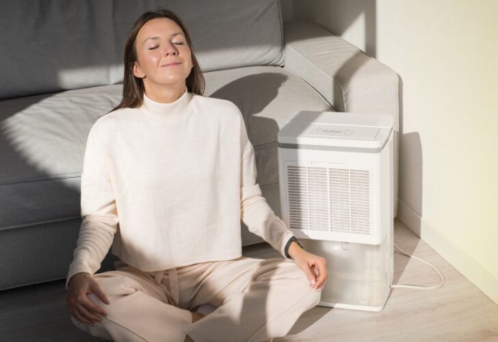 Auto Dry Mode On Hisense Dehumidifier Explained! 1 Auto Dry Mode on Hisense Dehumidifier